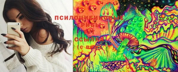 спиды Абдулино