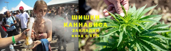 дмт Абаза