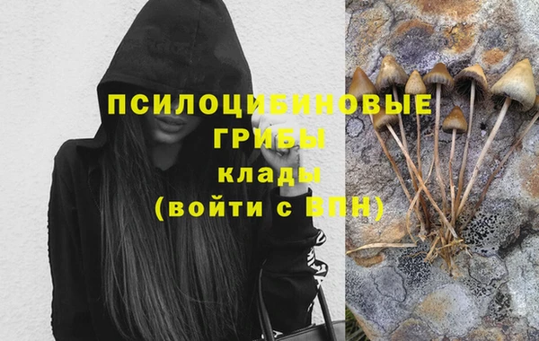 винт Абинск