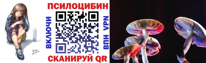кракен вход  Фурманов  Псилоцибиновые грибы GOLDEN TEACHER 