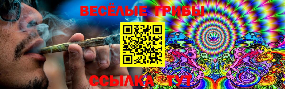 Галлюциногенные грибы Cubensis Фурманов